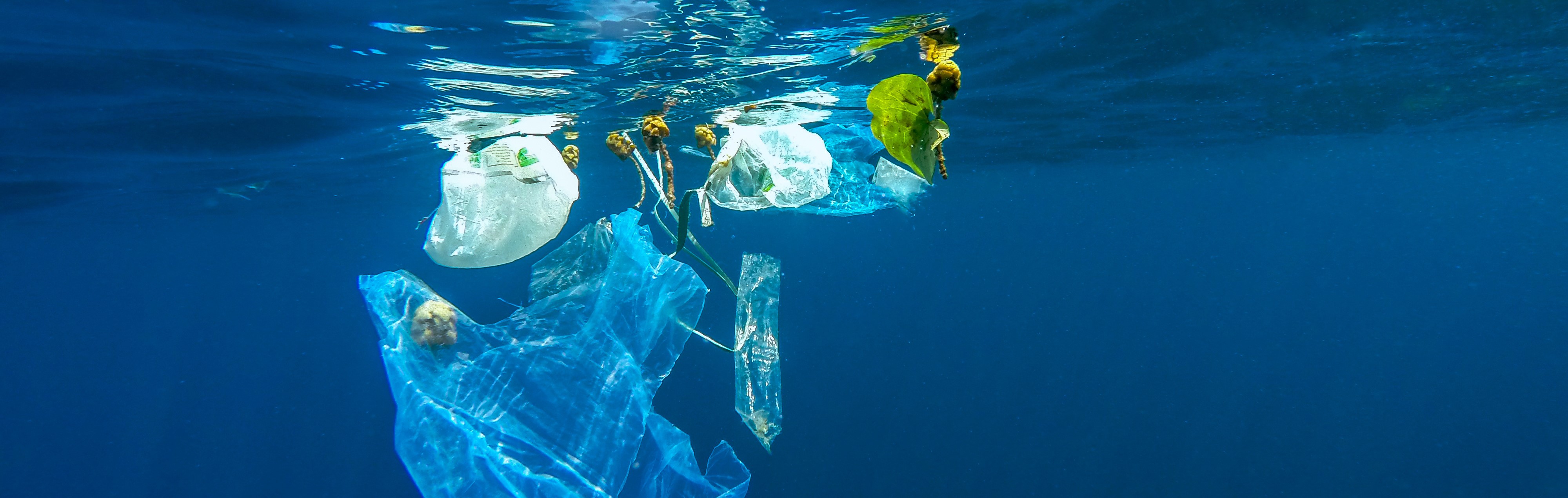Marine pollution of plastic