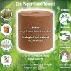 Hanzl Paper Hand Towel Roll Eco System